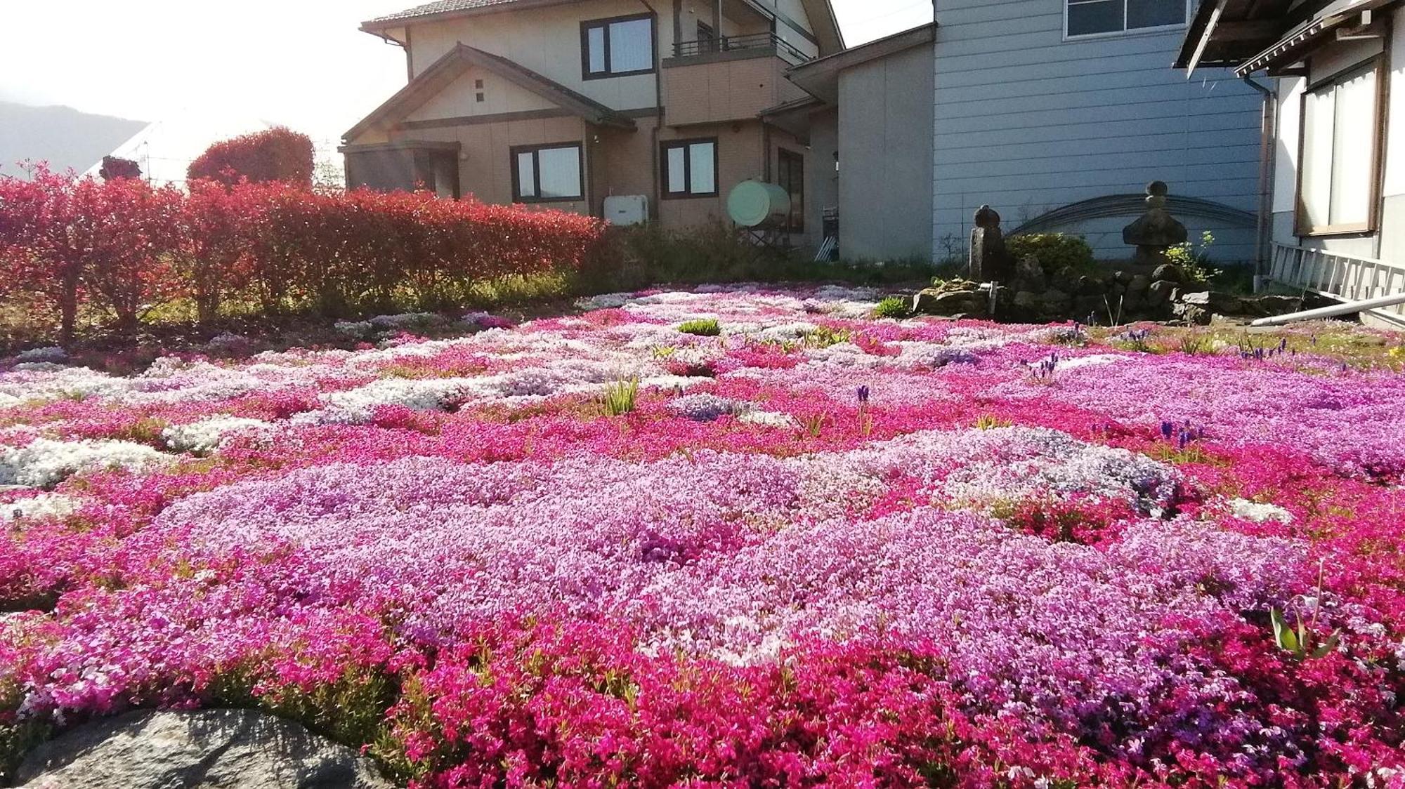Guest House Honami-Kaido Yamanouchi  Exterior photo